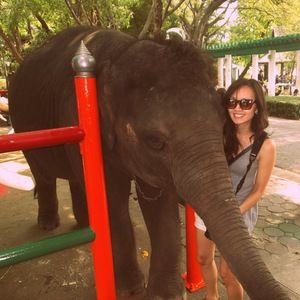 Meet your Posher, Nhung